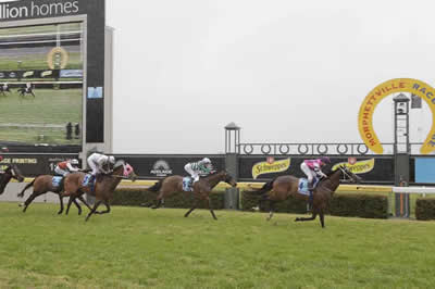 COMIC COMPOSER’S SMART ADELAIDE WIN..